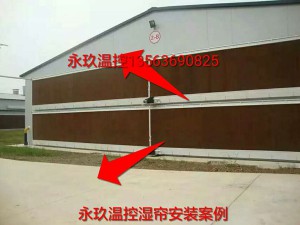 蜜桃APP下载网站安装现场